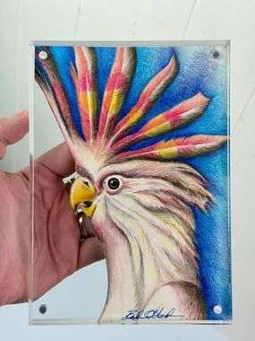 Pink Cockatiel - Original Bird Art